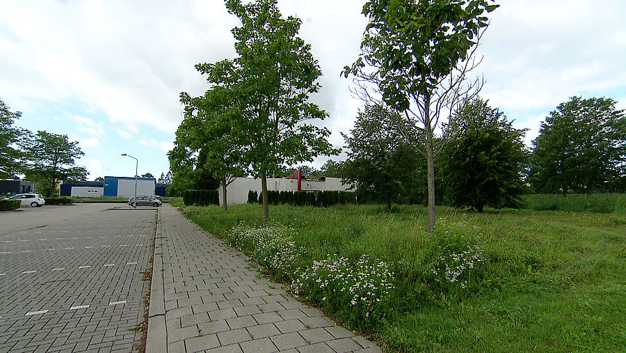 Het terrein aan de Breskensweg