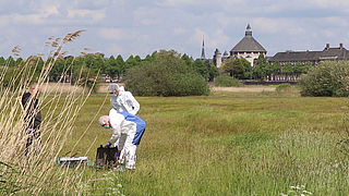 Opsporing Verzocht