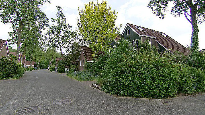 Opsporing Verzocht